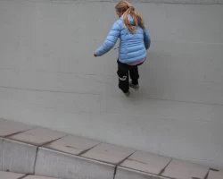 IMG 7727