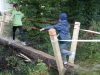thumbs IMG 7838