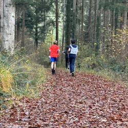 whatsapp bild 2025 11 07 um 08.38.28b1d3a0b