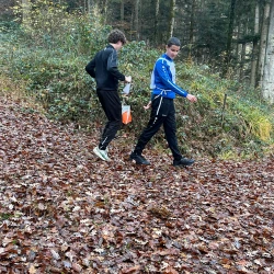 whatsapp bild 2025 11 07 um.38.29 c4b782a9