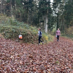 whatsapp bild 2025 11 07 um.38.31 d4394784