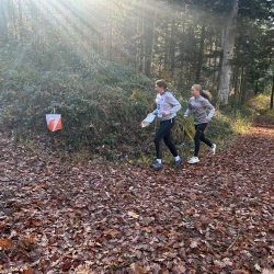 whatsapp bild 2025 11 07 um 08.39.21ed6d41c