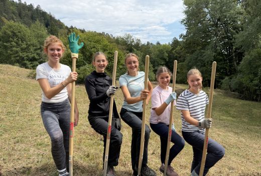 Arbeitseinsatz Naturpark Thal E 3e / Allemend Aedermannsdorf
