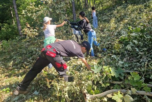 Arbeitseinsatz Naturpark Thal Sek B 3e