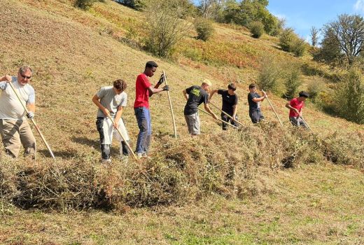 Arbeitseinsatz Naturpark Thal B 3b in der Allmend Aedermannsdorf