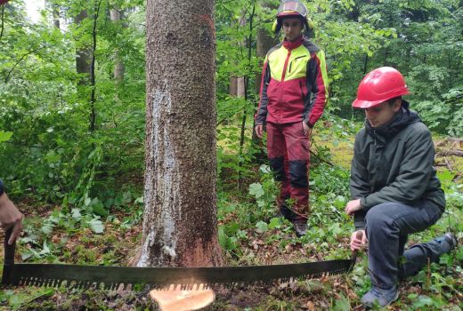 Waldtag Forst Thal_Sek E 2a