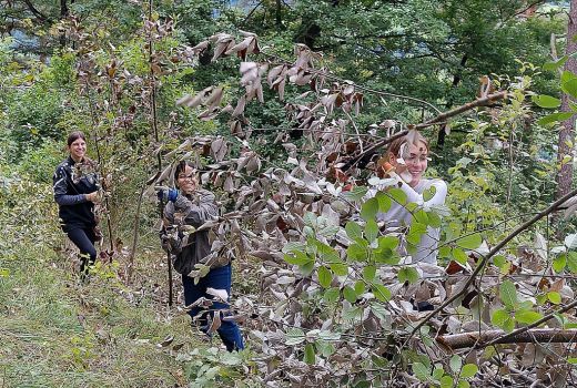 Arbeitseinsatz Naturpark Thal E 3a