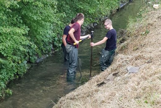 Arbeitseinsatz Naturpark Thal Sek B 3 Matzendorf